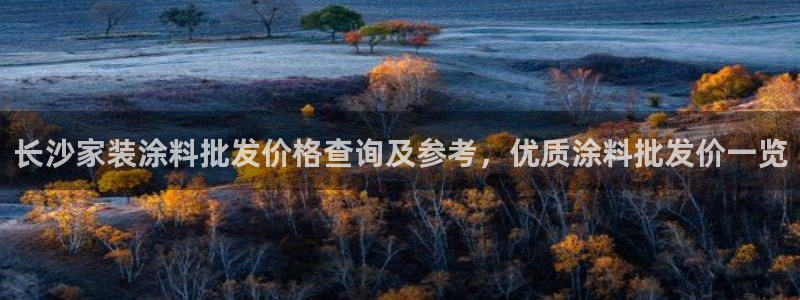 下载和记app：长沙家装涂料批发价格查询及参考，优质涂料批发价一览