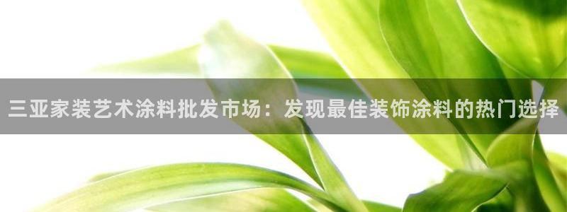 和记ag登录：三亚家装艺术涂料批发市场：发现最佳装饰涂料的热门选择