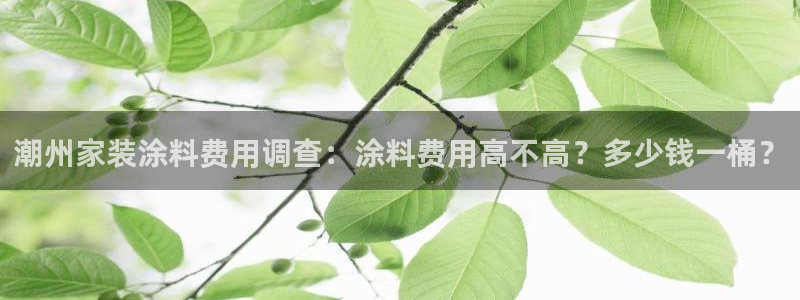 和记网页版：潮州家装涂料费用调查：涂料费用高不高？多少钱一桶？