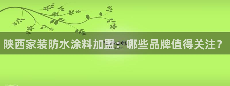 和记h8：陕西家装防水涂料加盟：哪些品牌值得关注？