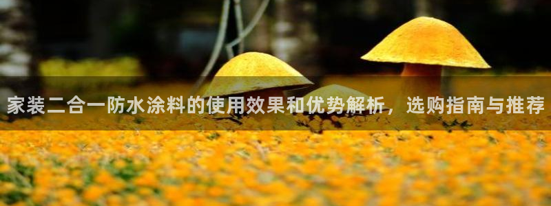 和记国际听：家装二合一防水涂料的使用效果和优势解析，选购指南与推荐