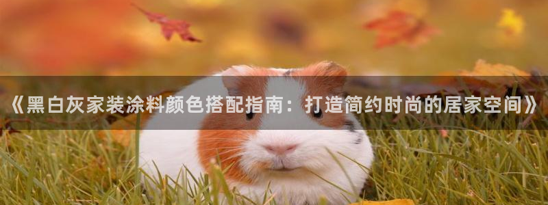 上海和记餐饮有限公司：《黑白灰家装涂料颜色搭配指南：打造简约时尚的居家空间》