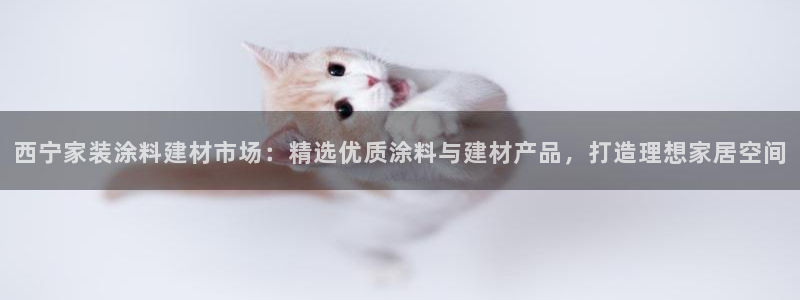 和记hj：西宁家装涂料建材市场：精选优质涂料与建材产品，打造理想家居空间