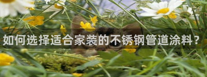 和记官方：如何选择适合家装的不锈钢管道涂料？