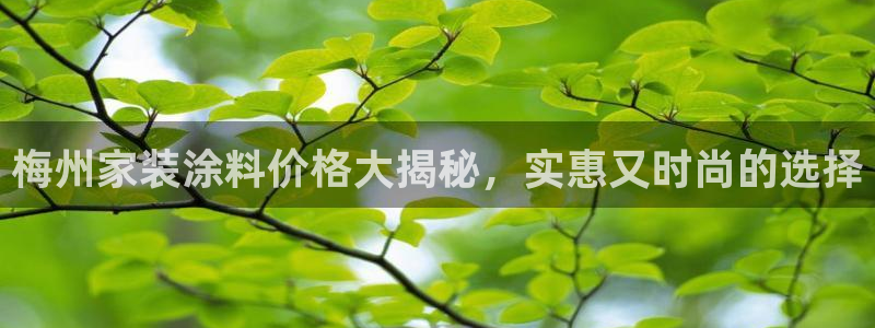 和记app官网登录：梅州家装涂料价格大揭秘，实惠又时尚的选择