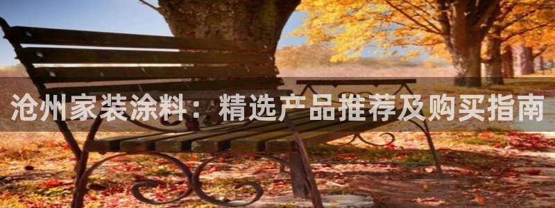 和记ag网址：沧州家装涂料：精选产品推荐及购买指南