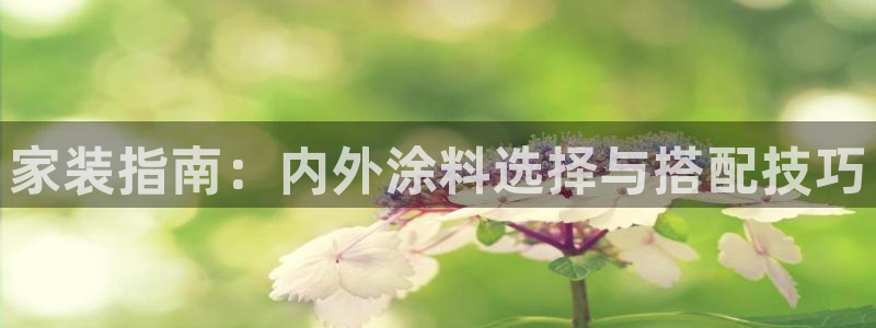 和记国际听：家装指南：内外涂料选择与搭配技巧