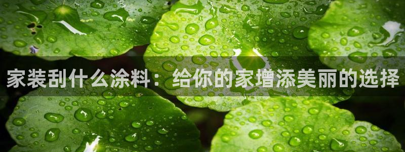 和记旗舰厅：家装刮什么涂料：给你的家增添美丽的选择