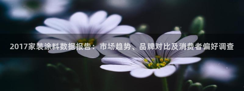 和记ag网页版：2017家装涂料数据报告：市场趋势、品牌对比及消费者偏好调查