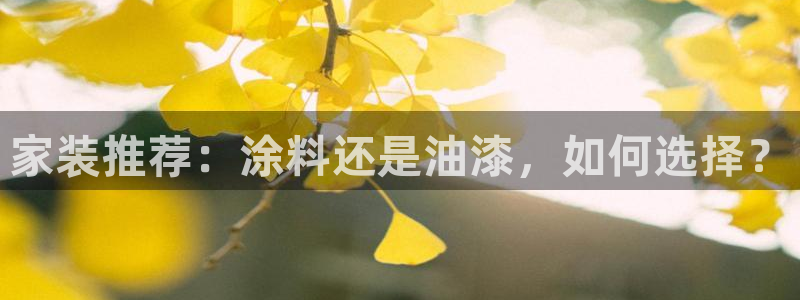 和记官网首页：家装推荐：涂料还是油漆，如何选择？