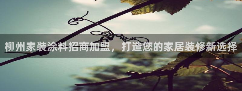 和记国际听
