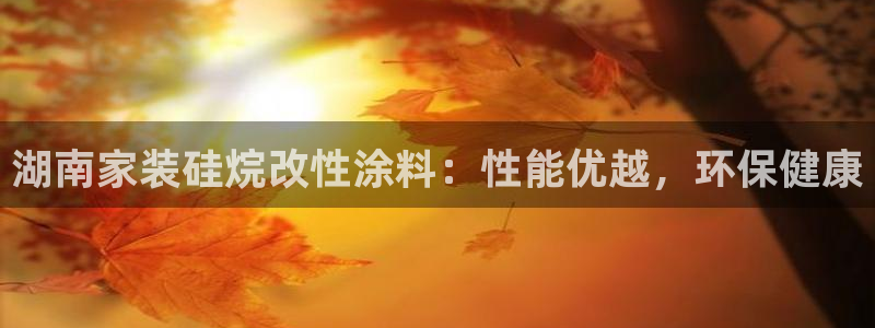 和记平台：湖南家装硅烷改性涂料：性能优越，环保健康