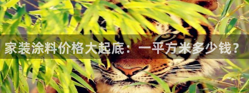和记ag旗舰厅