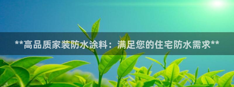 和记网页：**高品质家装防水涂料：满足您的住宅防水需求**