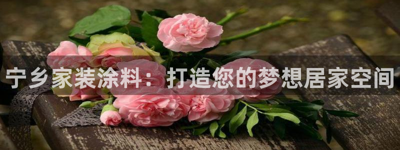 和记5g电讯：宁乡家装涂料：打造您的梦想居家空间