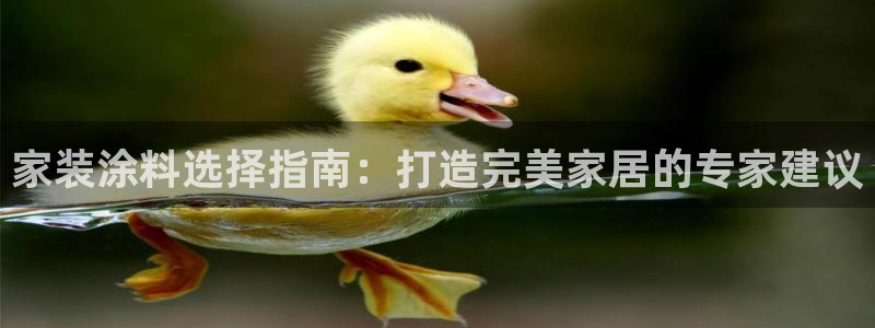 和记ag旗舰：家装涂料选择指南：打造完美家居的专家建议
