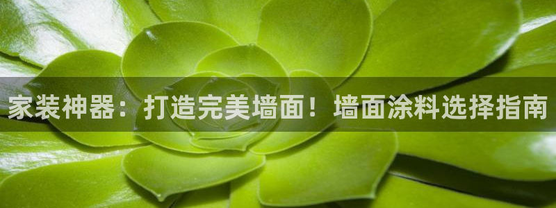 和记ag旗舰厅：家装神器：打造完美墙面！墙面涂料选择指南