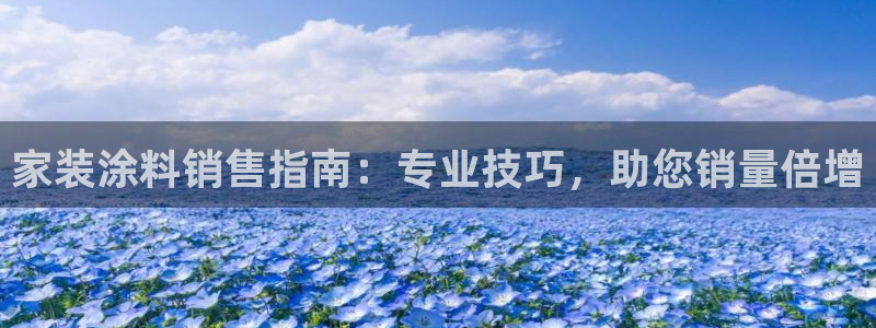 和记国际客服：家装涂料销售指南：专业技巧，助您销量倍增