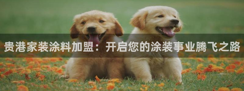 和记Ag：贵港家装涂料加盟：开启您的涂装事业腾飞之路