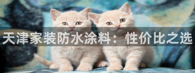 和记5g电讯