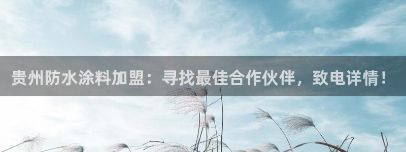 和记国际电讯市值