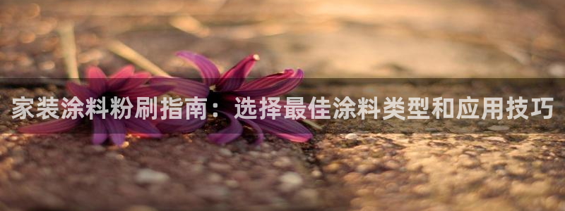和记H88