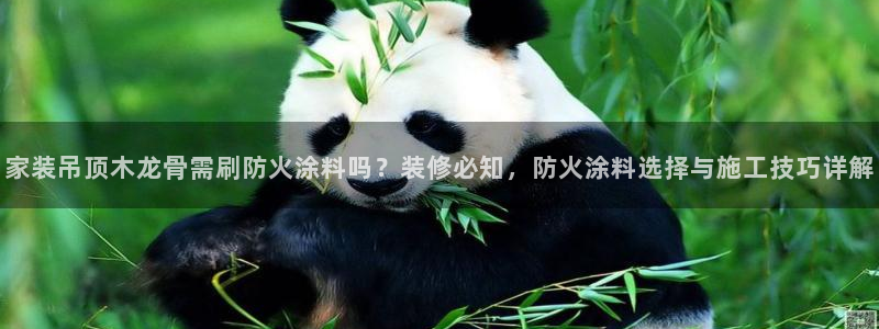 和记国际听