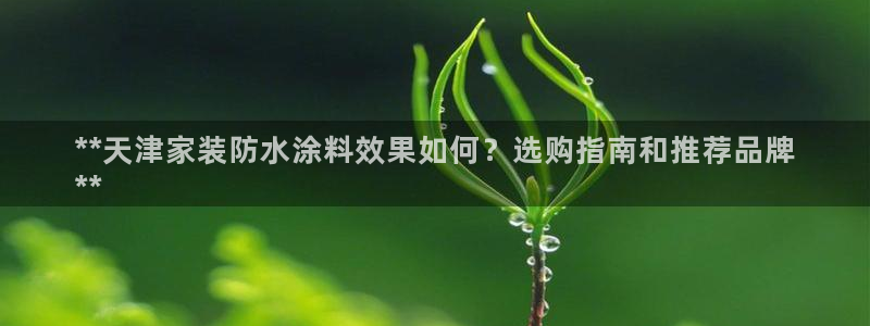 和记官方平台：**天津家装防水涂料效果如何？选购指南和推荐品牌
**