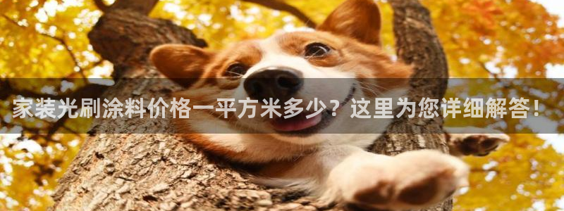 和记ag网址