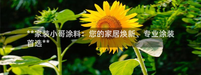 上海和记餐饮有限公司