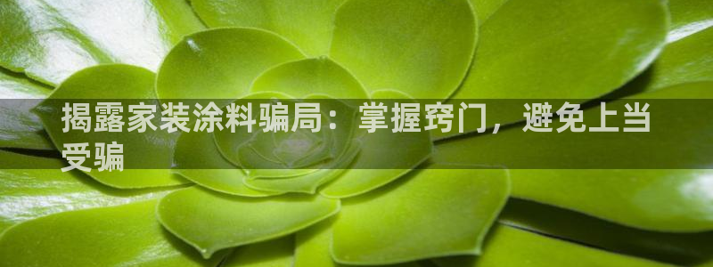 和记最新官方网址：揭露家装涂料骗局：掌握窍门，避免上当
受骗
