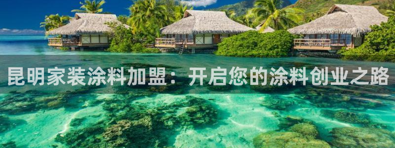 和记h88游戏：昆明家装涂料加盟：开启您的涂料创业之路