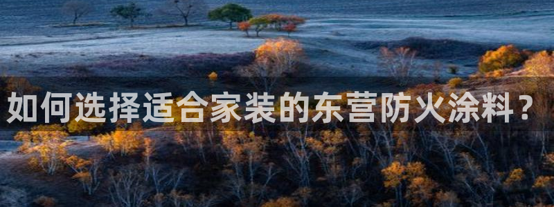 和记AG旗舰：如何选择适合家装的东营防火涂料？