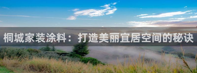 和记(福建)商贸有限公司招聘：桐城家装涂料：打造美丽宜居空间
