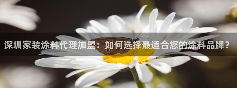 和记h88最新客户端下载：深圳家装涂料代理加盟：如何选择最适