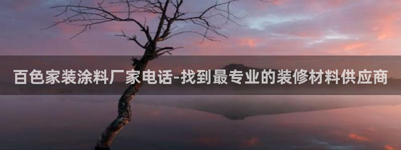 和记国际