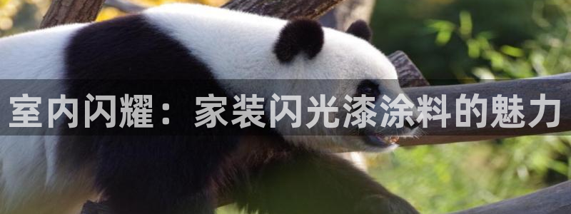 上海和记餐饮：室内闪耀：家装闪光漆涂料的魅力