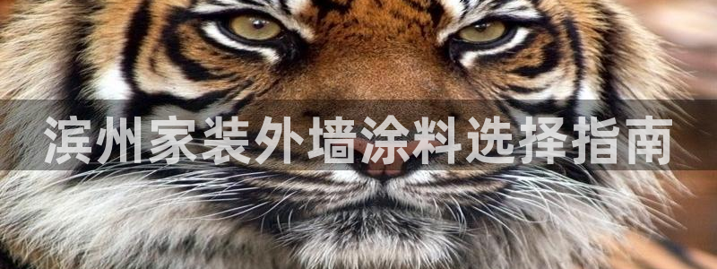 和记 中国官网：滨州家装外墙涂料选择指南
