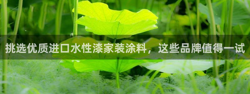 和记官网[中国]官方网站