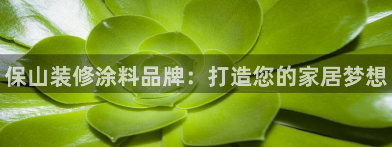 和记国际客服：保山装修涂料品牌：打造您的家居梦想