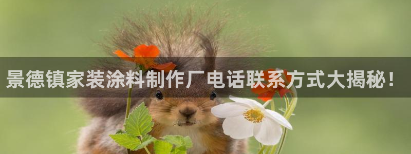 和记港口：景德镇家装涂料制作厂电话联系方式大揭秘！