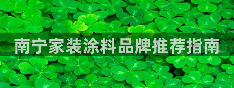 和记ag网址：南宁家装涂料品牌推荐指南