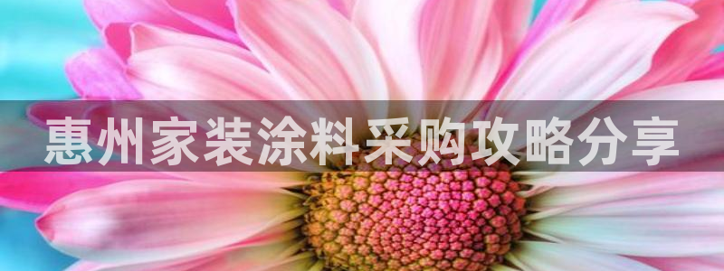 和记h8：惠州家装涂料采购攻略分享
