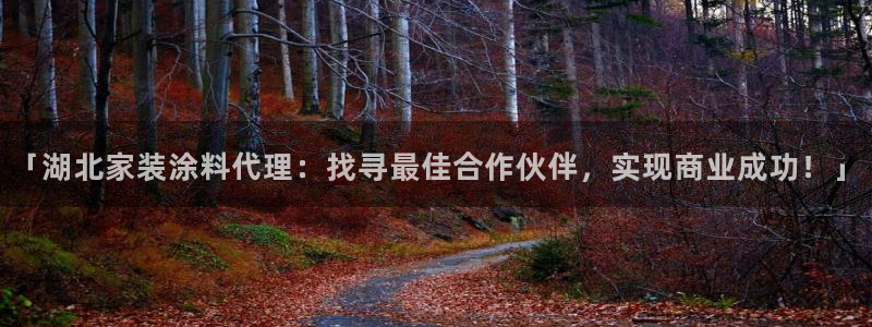 和记AG：「湖北家装涂料代理：找寻最佳合作伙伴，实现商业成功