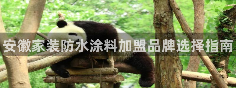 和记官方直营：安徽家装防水涂料加盟品牌选择指南