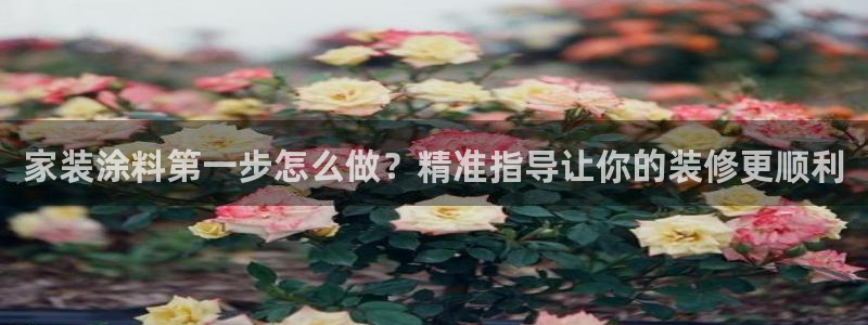 和记国际客服
